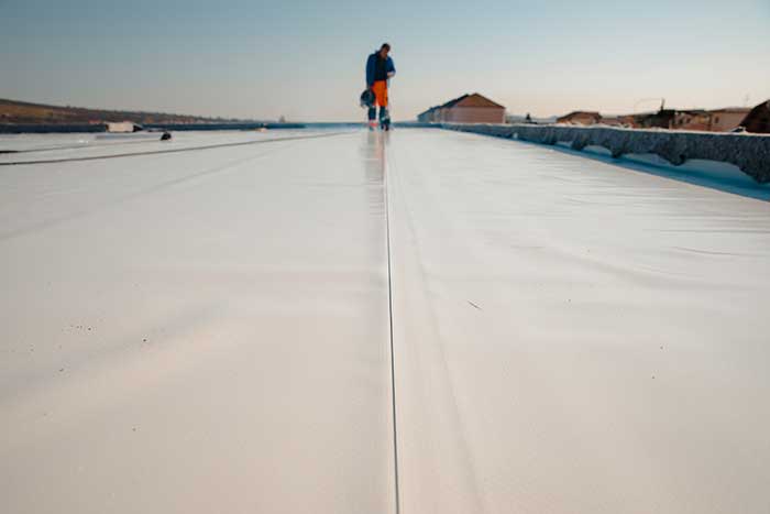 Professional Roofing Contractor